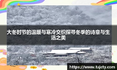 大冬时节的温暖与寒冷交织探寻冬季的诗意与生活之美