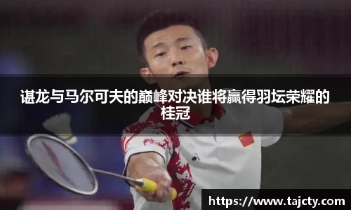 谌龙与马尔可夫的巅峰对决谁将赢得羽坛荣耀的桂冠