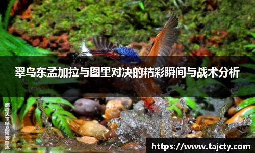 翠鸟东孟加拉与图里对决的精彩瞬间与战术分析